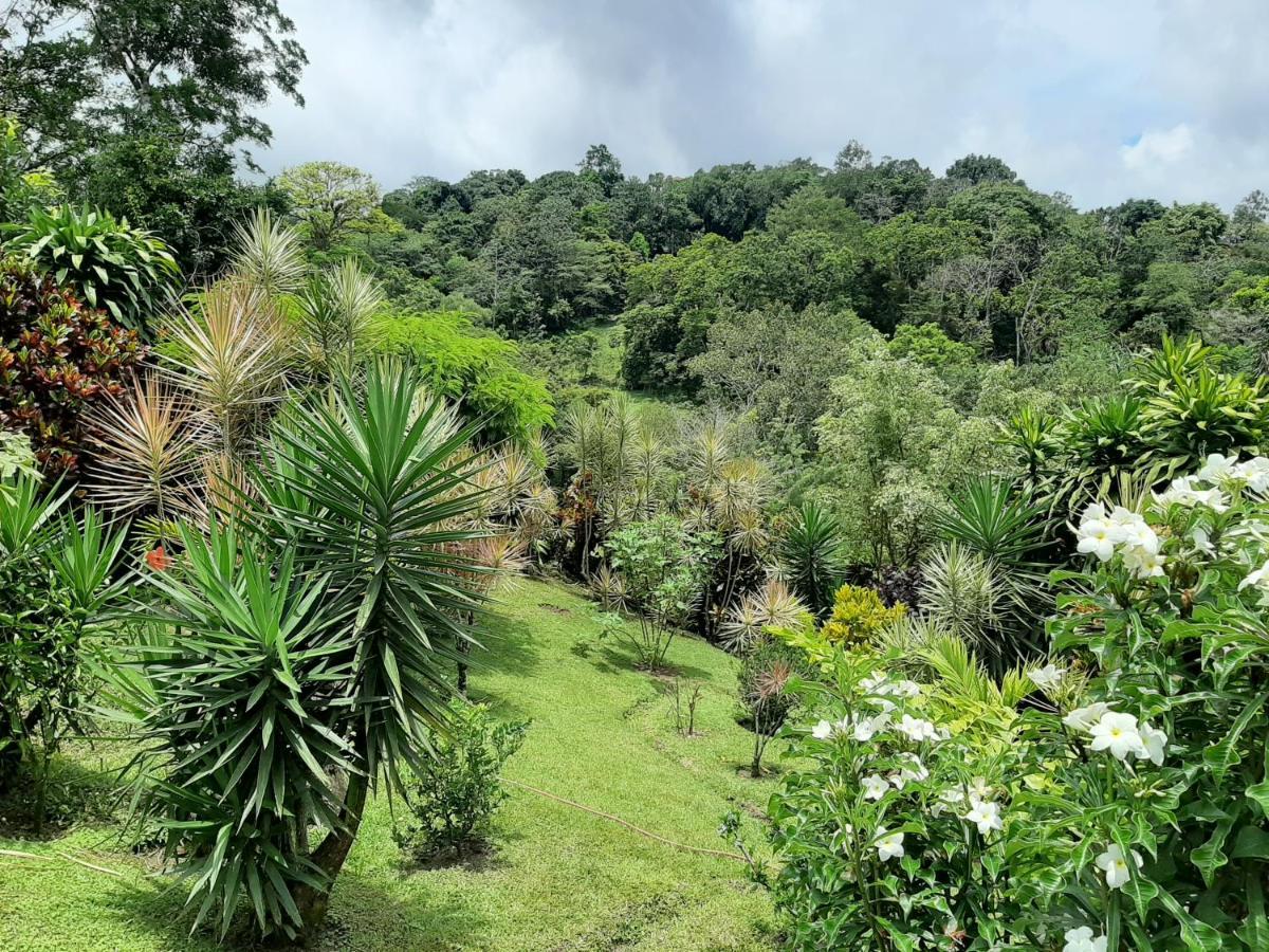 Marita'S Bed And Breakfast Nuevo Arenal Εξωτερικό φωτογραφία
